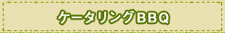 ケータリングBBQ