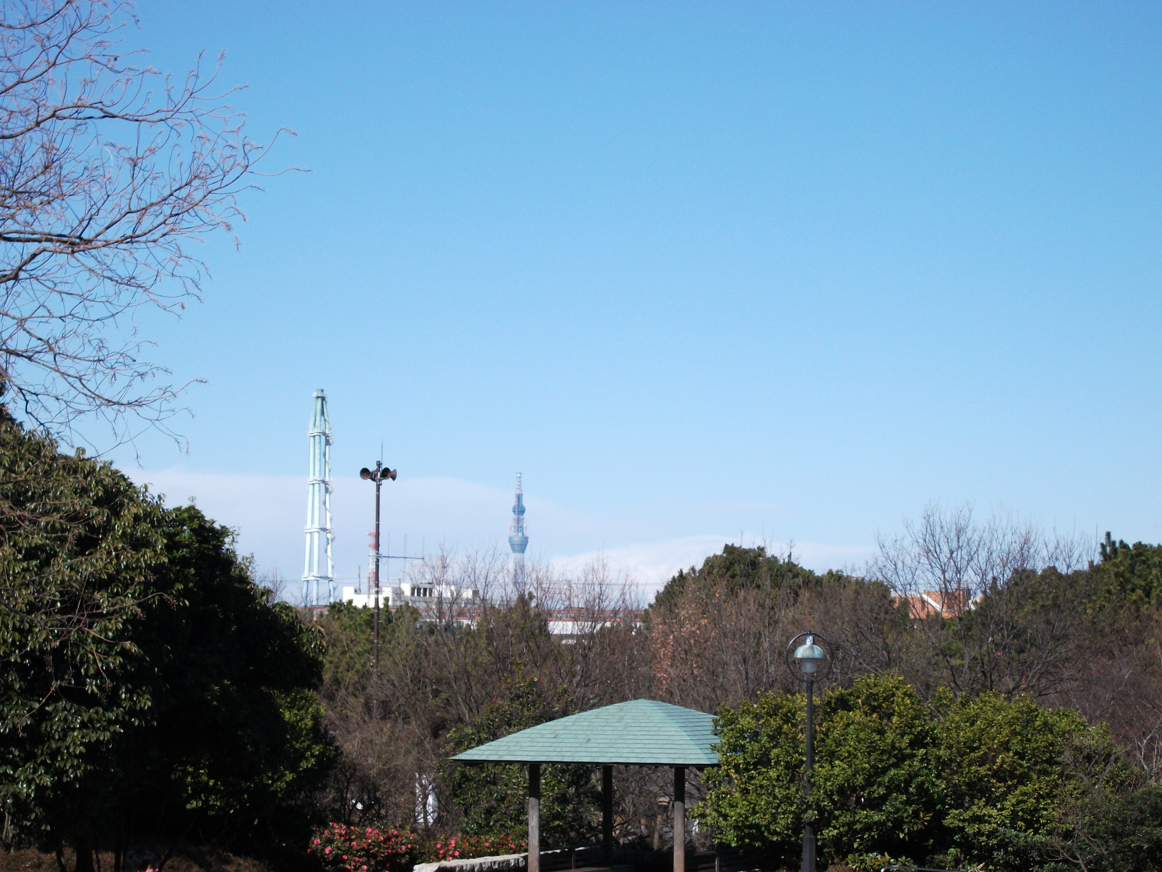 画像 003.jpg
