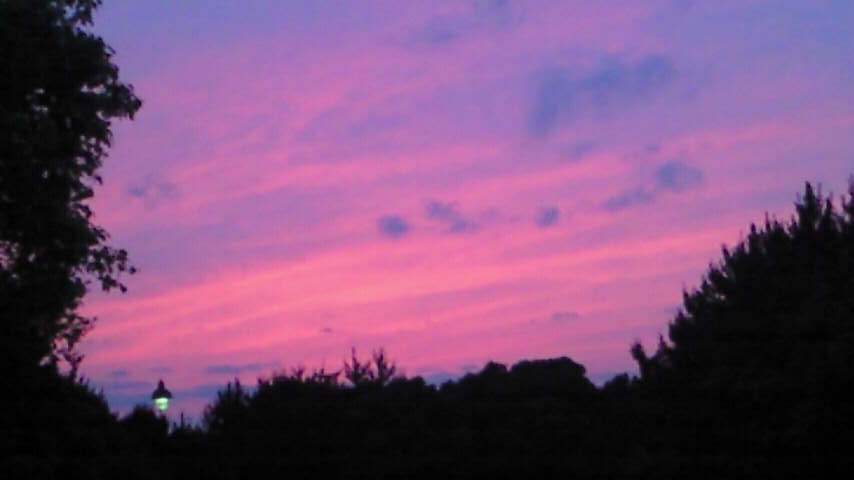 200806151910001.jpg