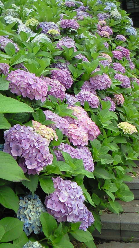 200806211414000.jpg