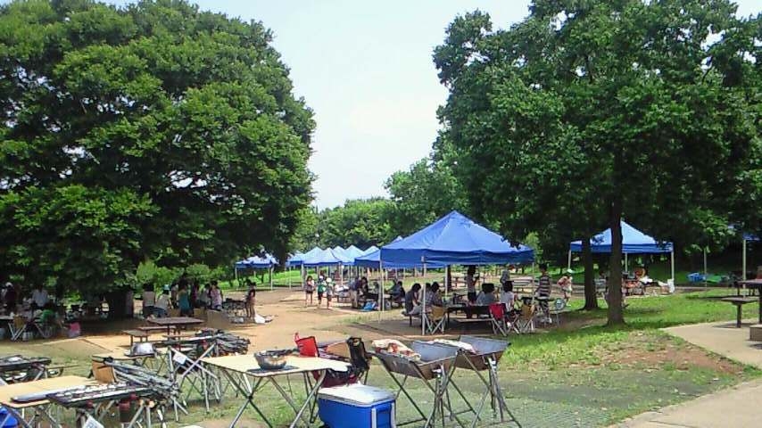 200908121051001.jpg