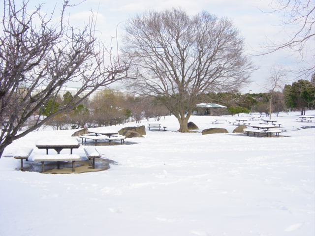 DSC04155.JPG