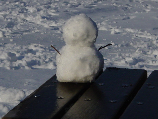 DSC04163.JPG