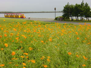 KasaiBBQ_071001-01.jpg