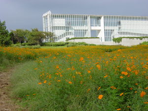 KasaiBBQ_071001-02.jpg