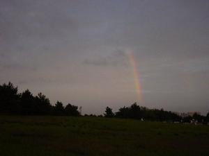 Kasai_BBQ_071009-02.jpg