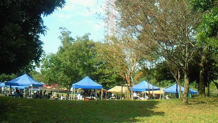 NEC_1310.JPG