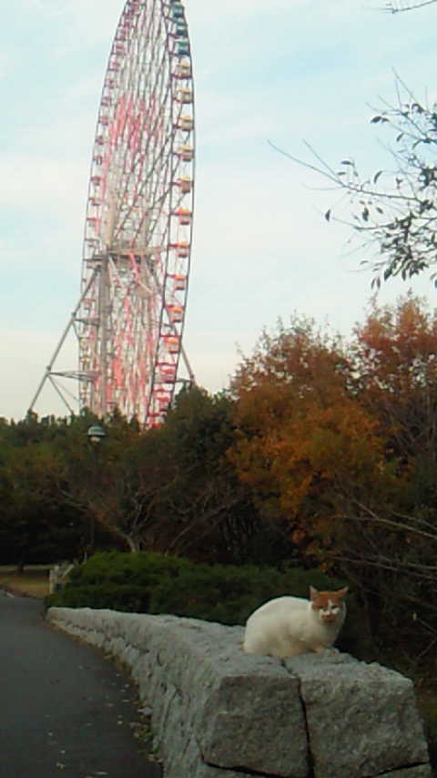 NEC_1364.JPG