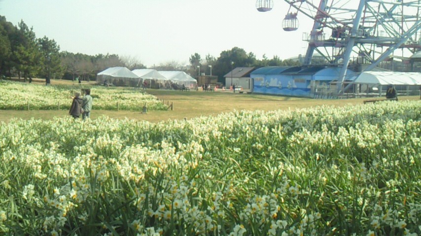 NEC_1422.JPG