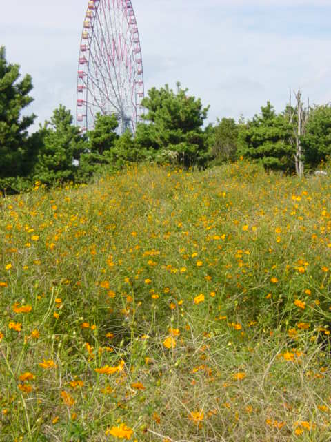 DSC04102.JPG
