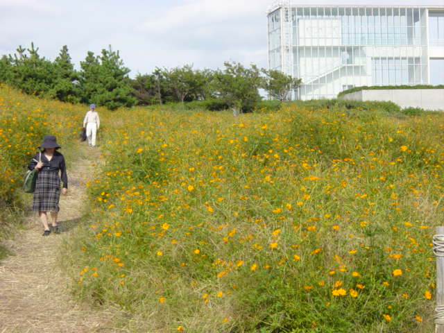 DSC04104.JPG