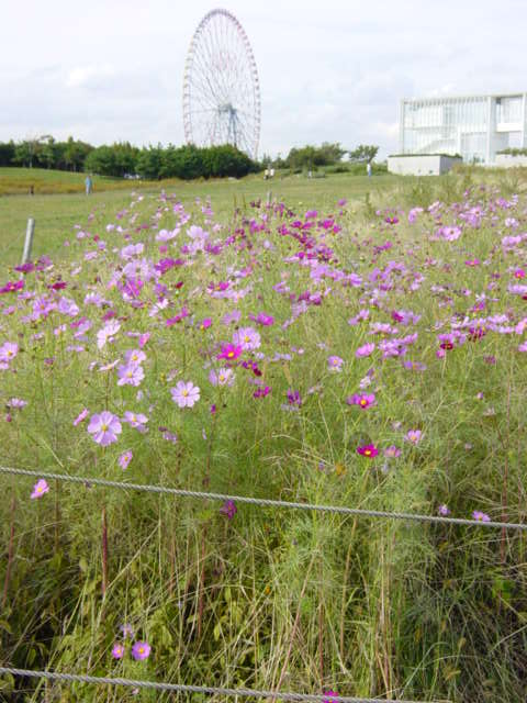 DSC04105.JPG
