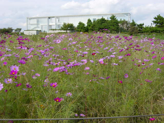 DSC04106.JPG