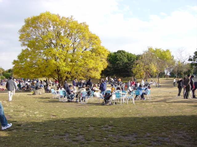 DSC04127.JPG