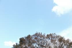 DSCF0125.JPG