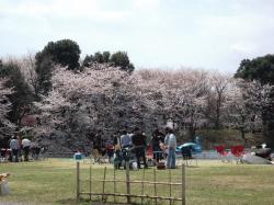 kashiwanoha2012.JPG