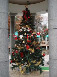 111222_candlenaight_K_002.jpg