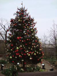 111222_candlenight_K_003.jpg