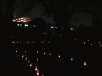 111222_candenight_K_008.jpgのサムネール画像