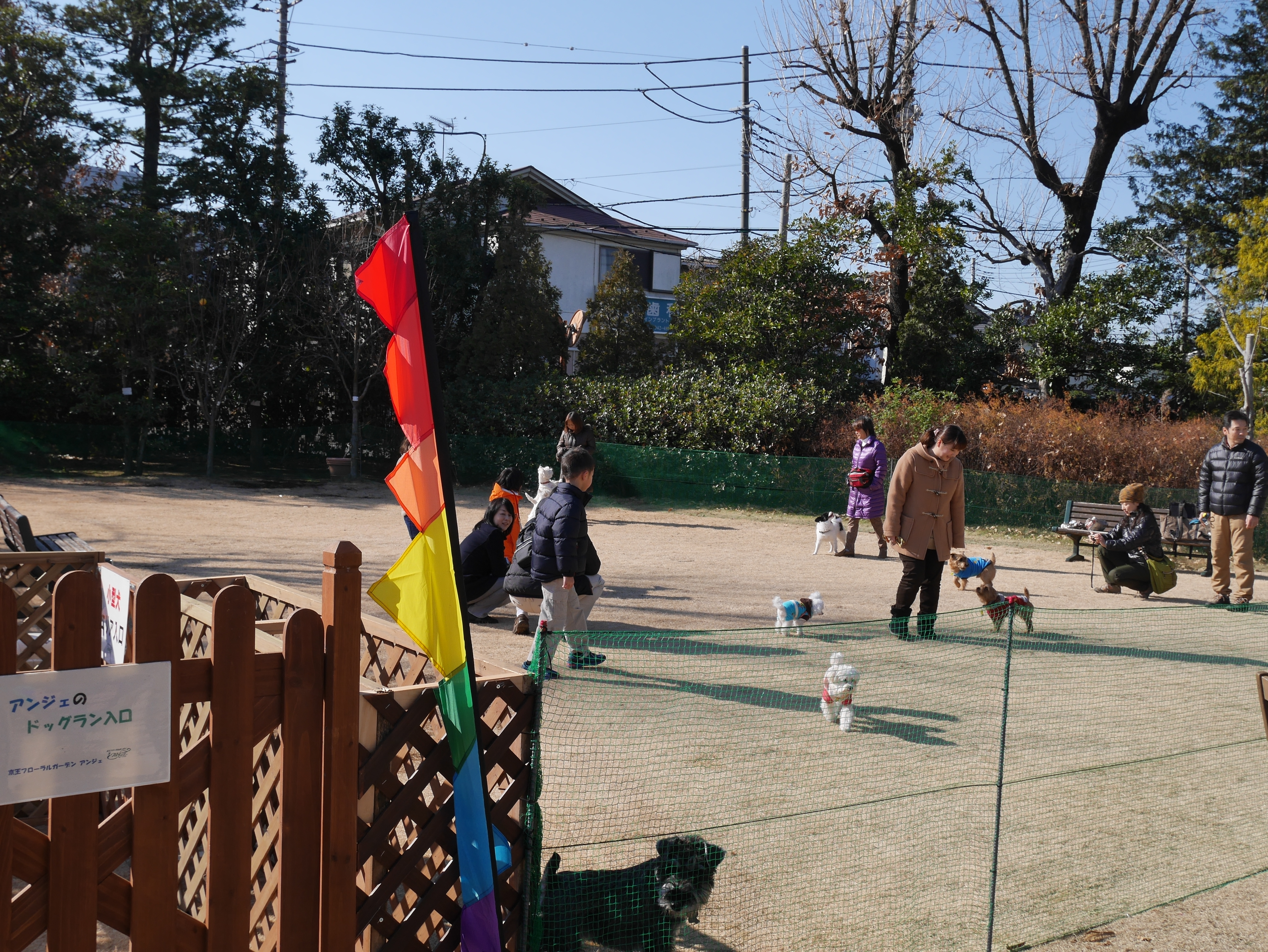 111105_Nasu_Disc_Dog_493