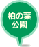 柏の葉公園