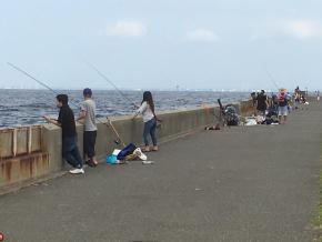 ４image1.JPG