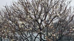 20140214_104716.jpg
