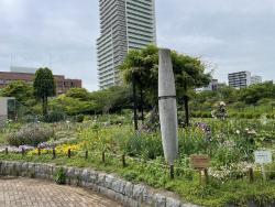 都市緑化植物園3.JPG