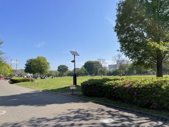 公園全景.JPG