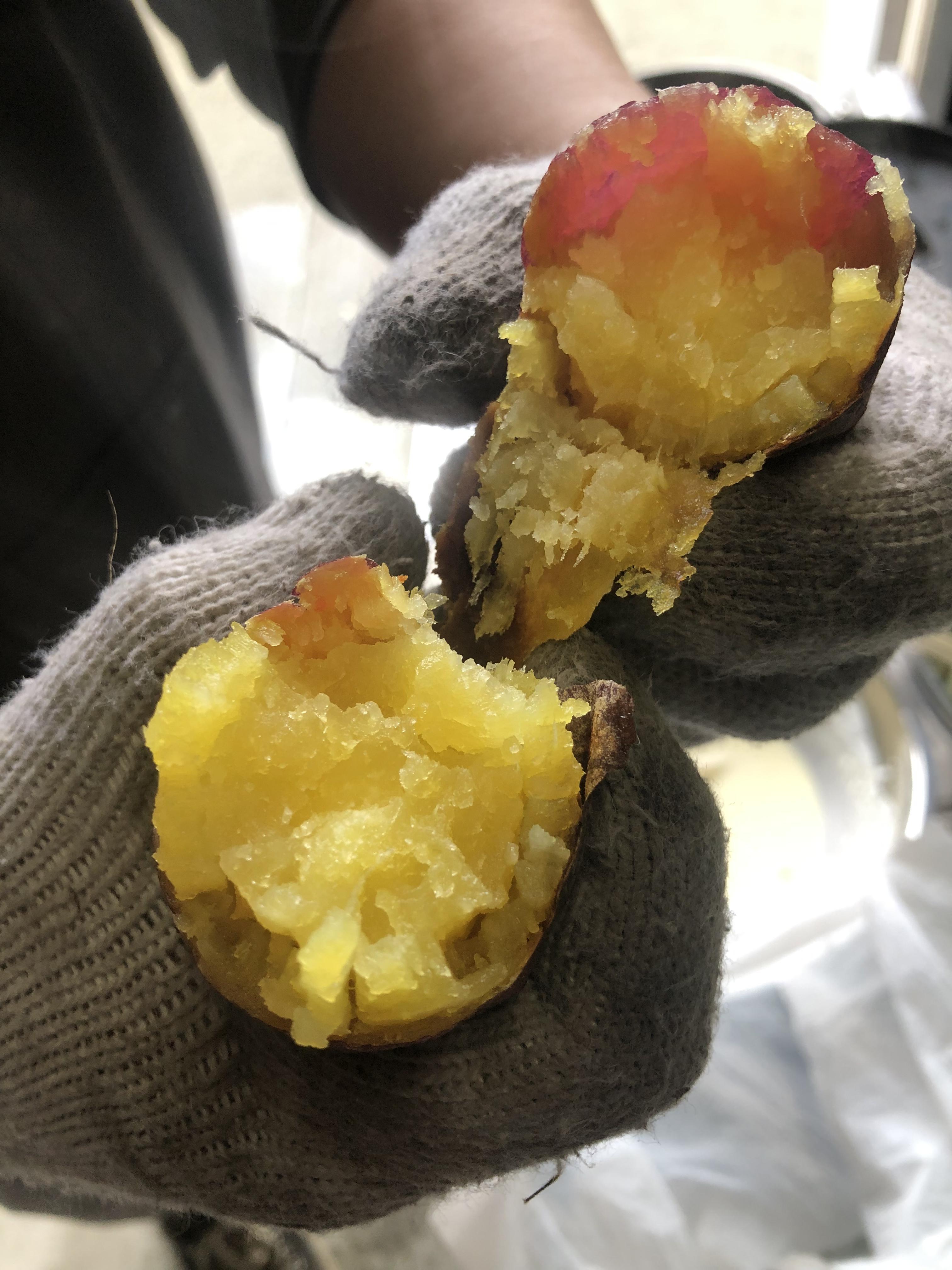 Image - 2026-01-12T144010.200.jpg