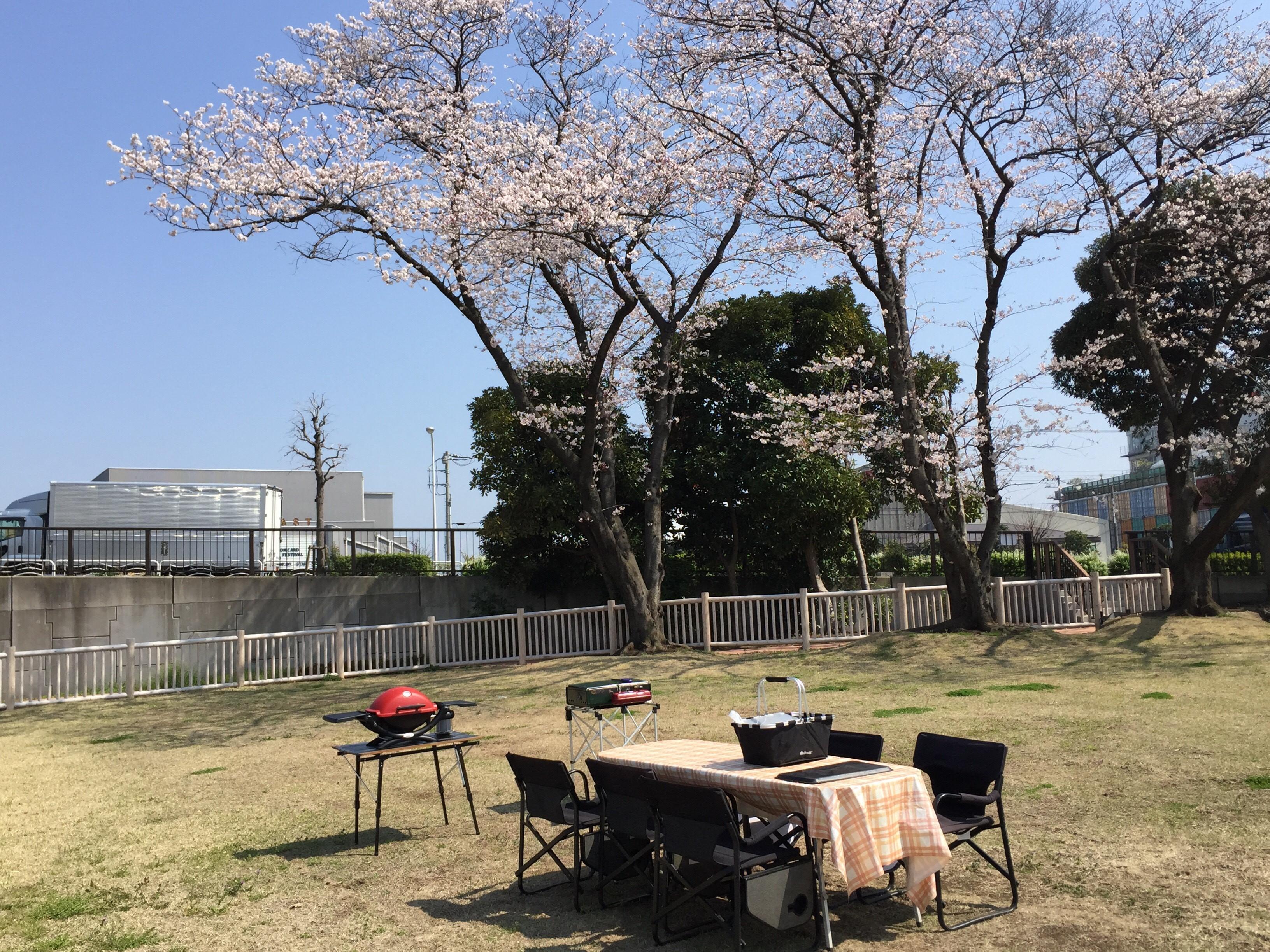 新木場公園バーベキューエリア／お花見／桜／BBQ／バーベキューレンタル／配達