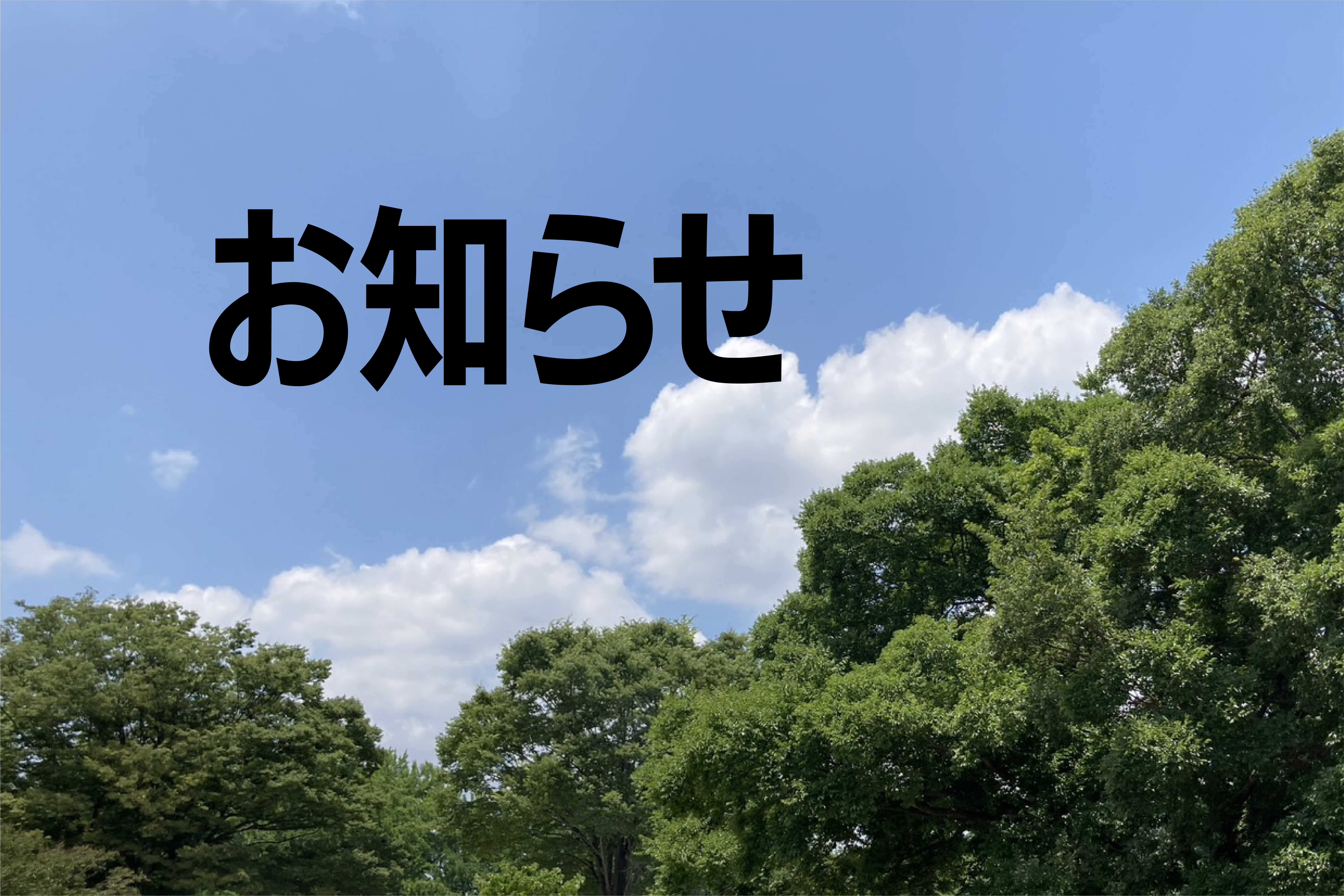 https://www.herofield.com/bbq/shiokaze/3ab5c82a0afca407e95f3d1cfa0f0d2c3cb32cae.png