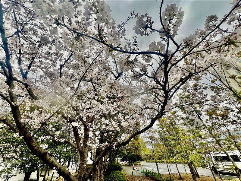 864044e372f1e7e661b78335fa2477