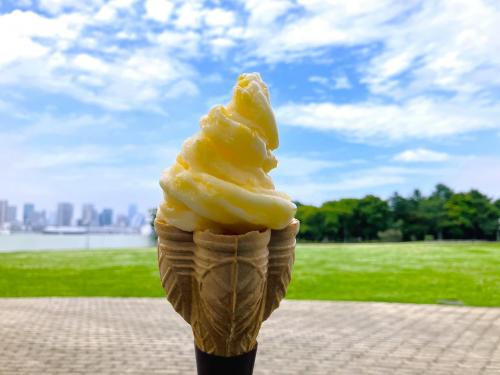 甘夏jpg.jpg