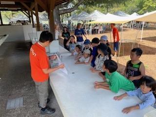 thumbnail_IMG_2415.jpg