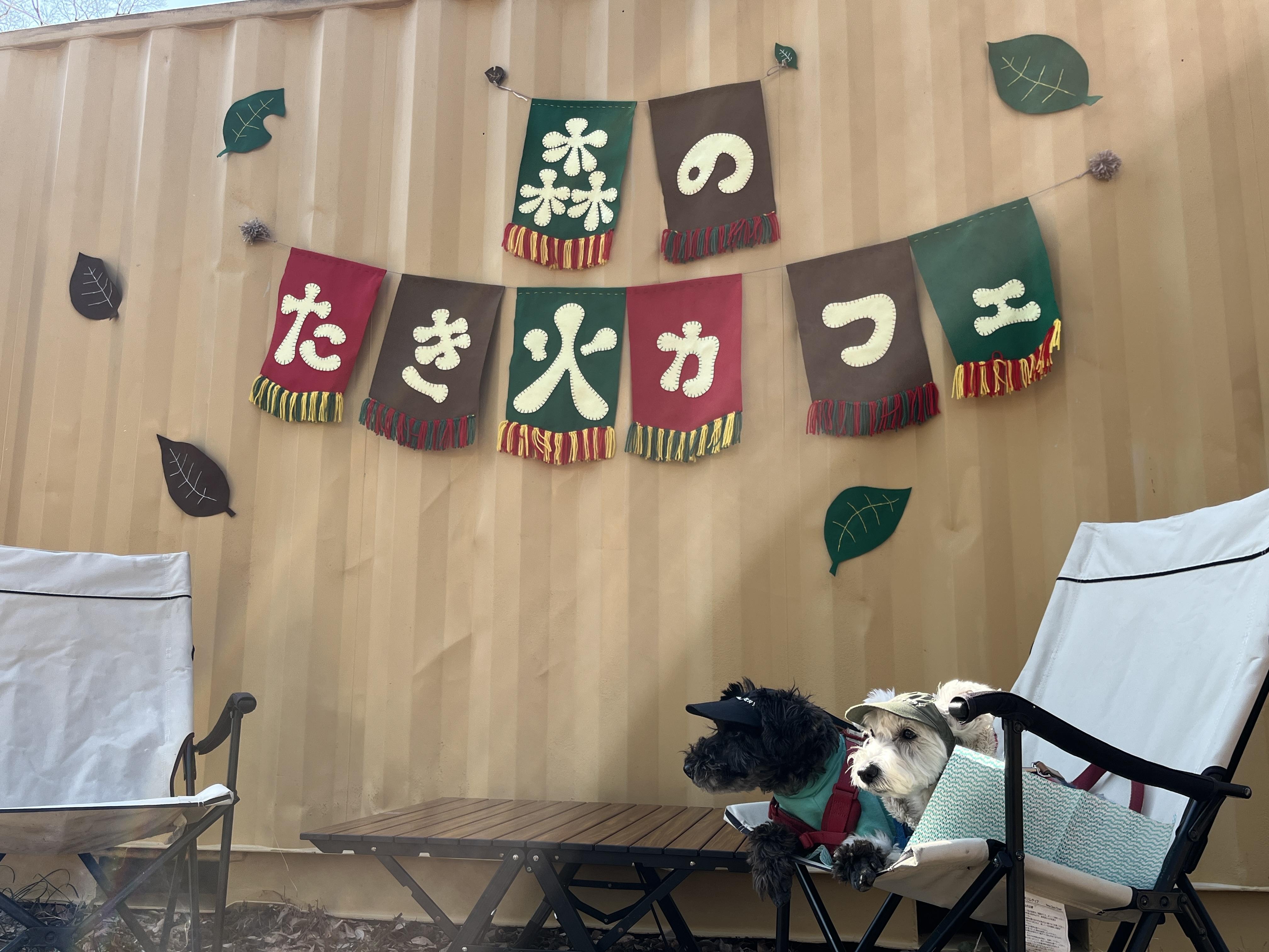 Image - 2025-12-05T102354.247.jpg