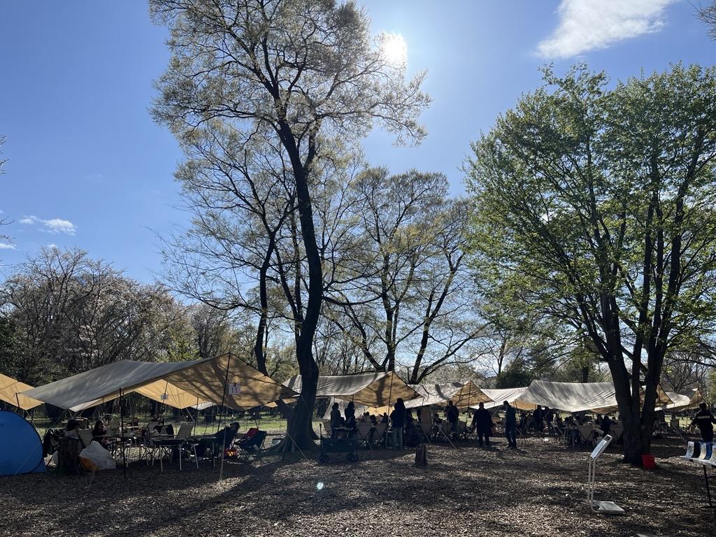 Image - 2026-01-24T105143.446.jpg