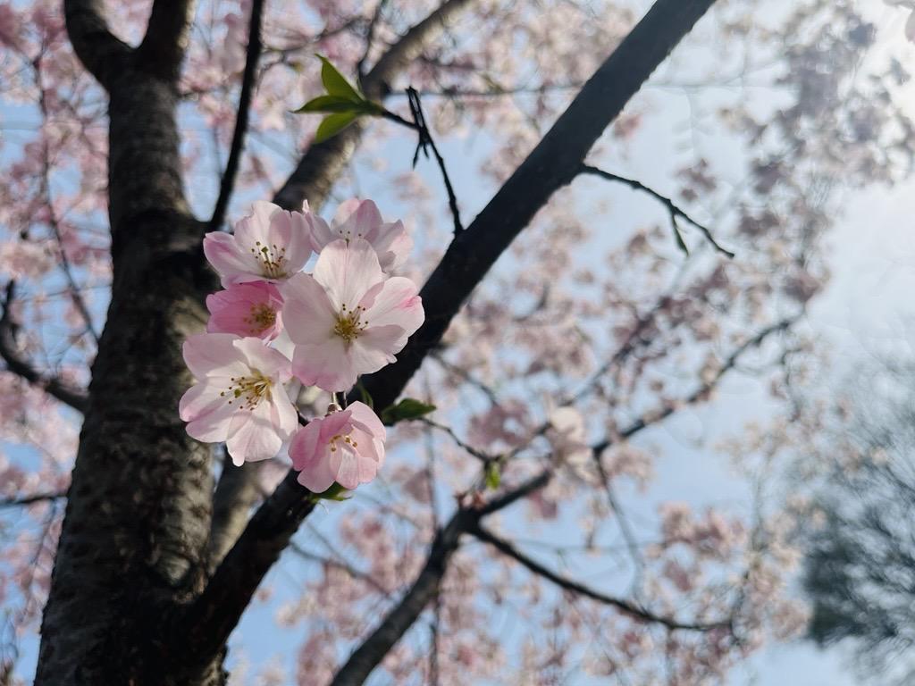 Image - 2026-02-22T165757.449.jpg