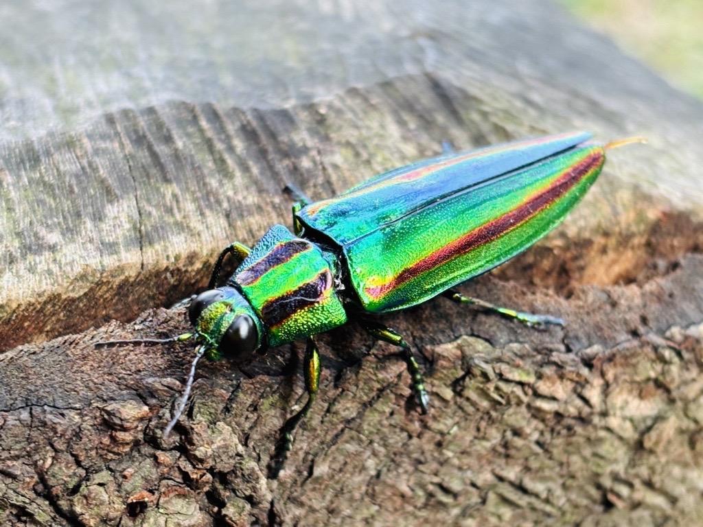 Image - 2026-02-22T170022.885.jpg