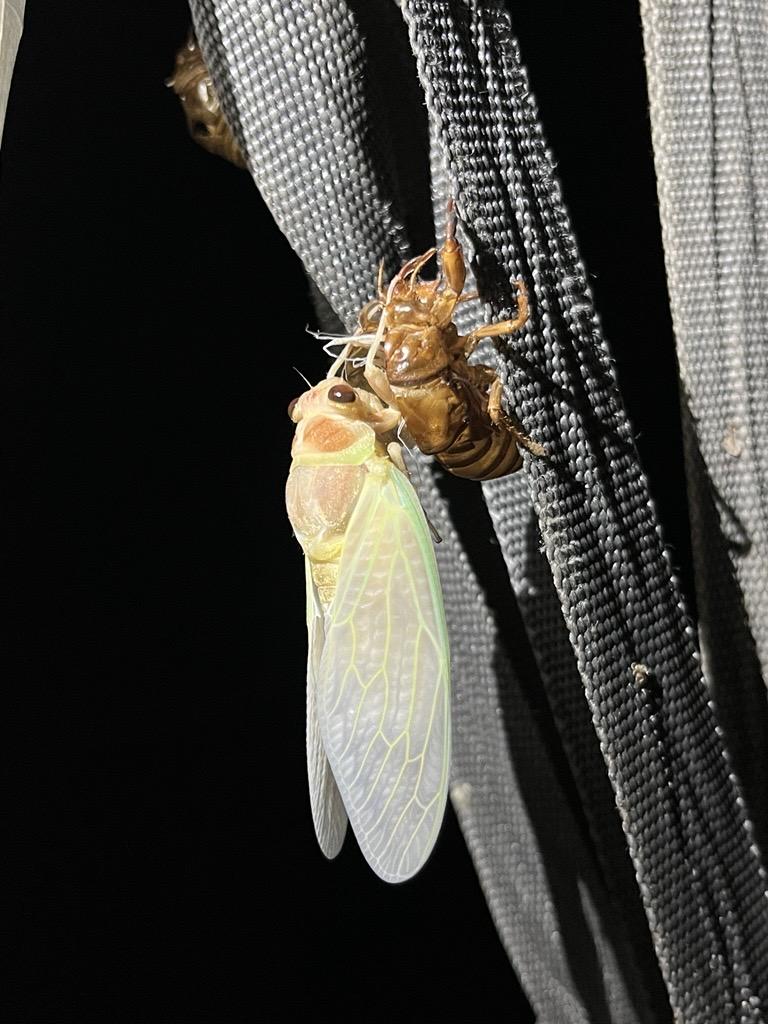 Image - 2026-02-22T170200.470.jpg