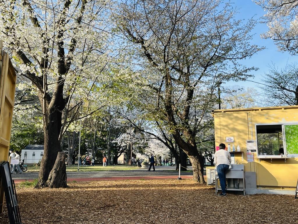 Image - 2026-02-22T173331.909.jpg