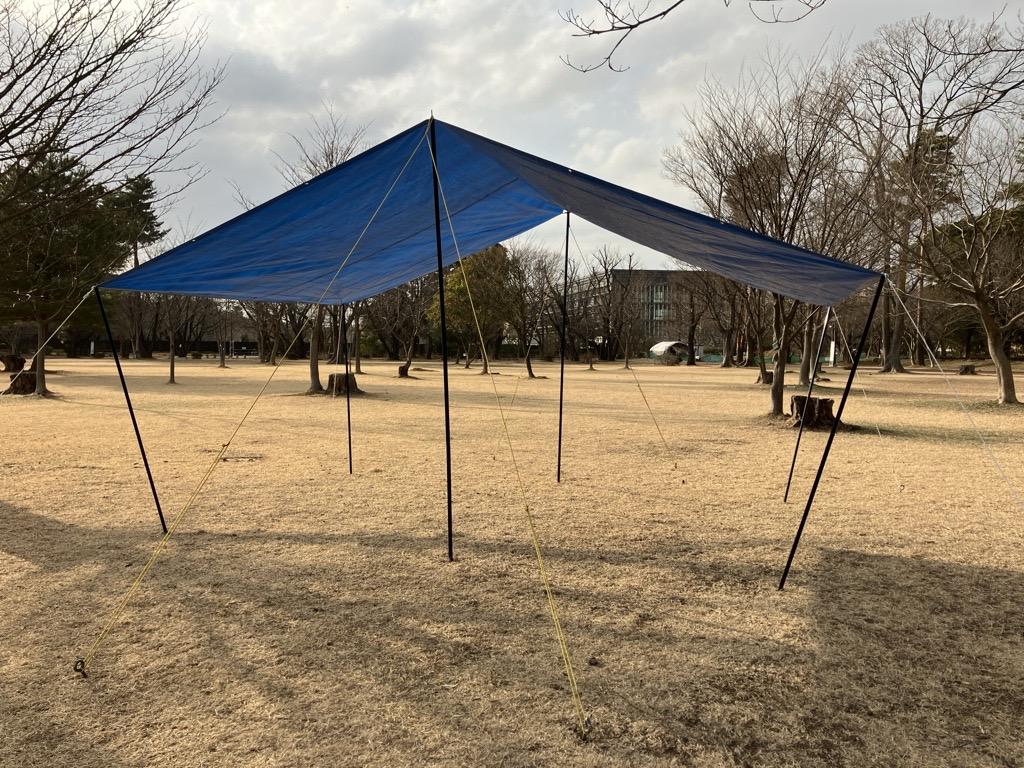 Image - 2026-03-10T145450.909.jpg