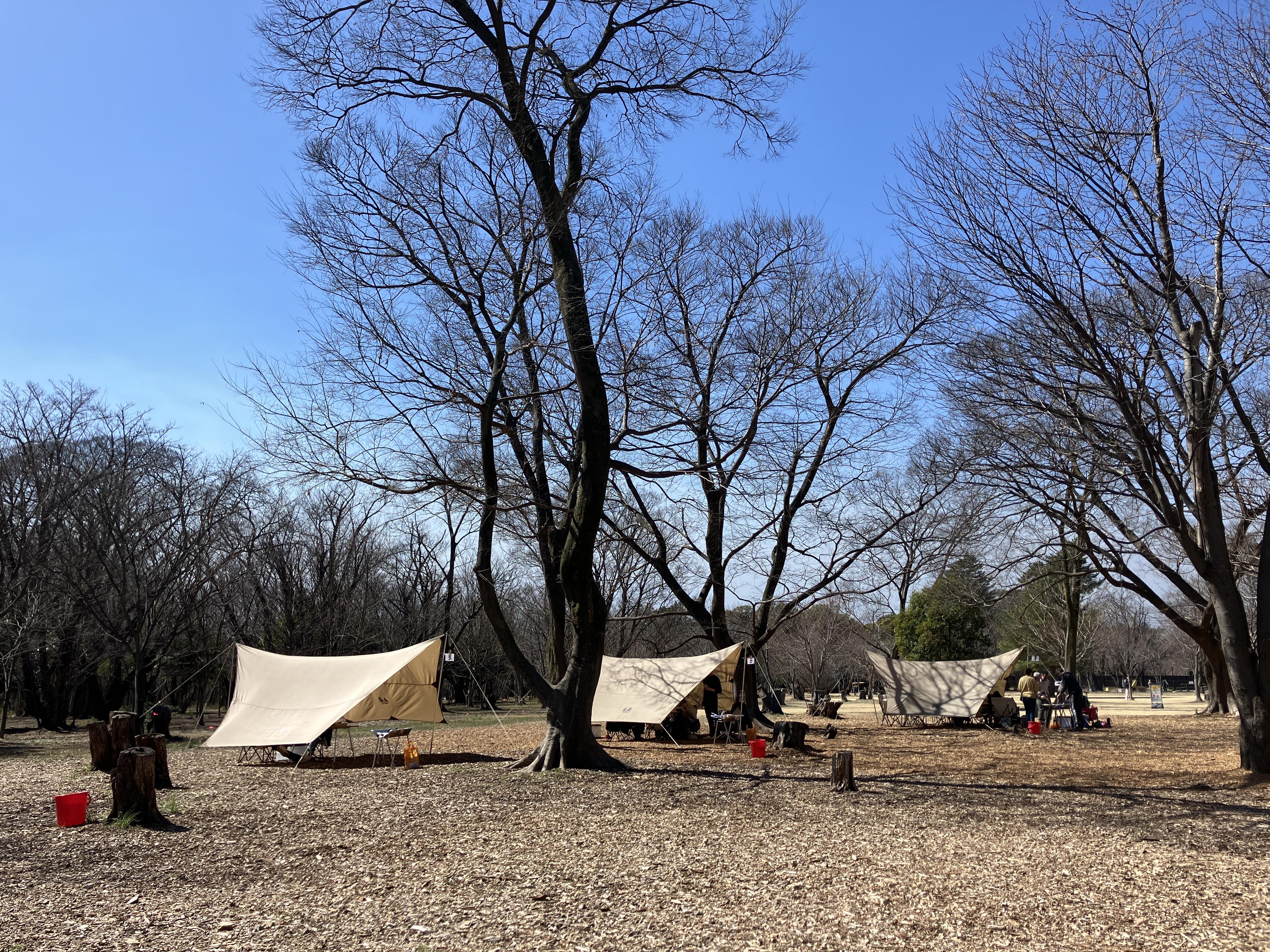 Image - 2026-03-14T180254.472.jpg