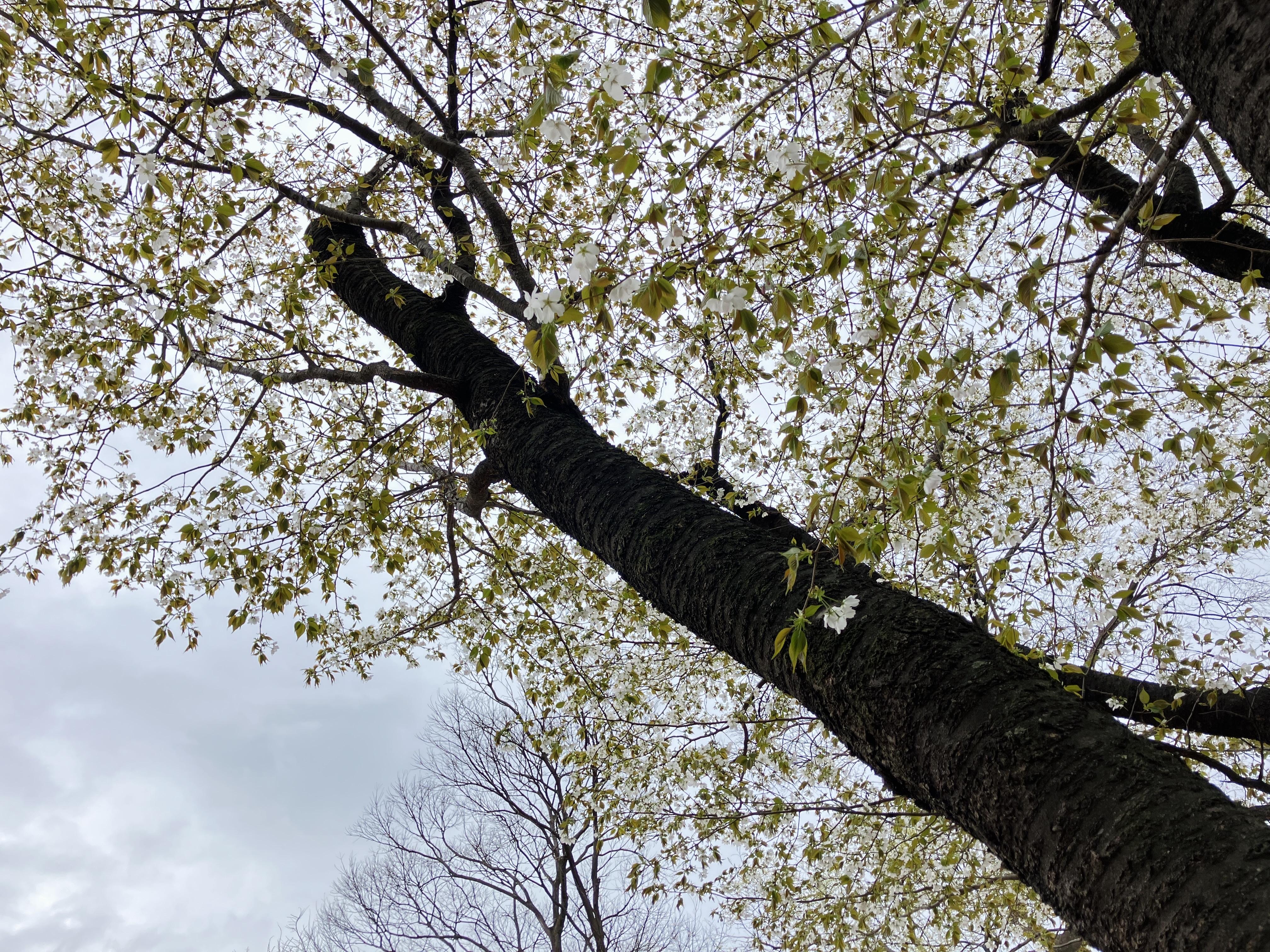 Image - 2026-03-31T092611.294.jpg