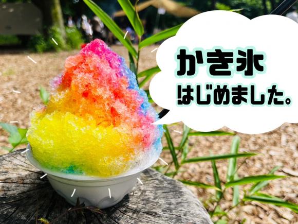 かき氷①.jpeg