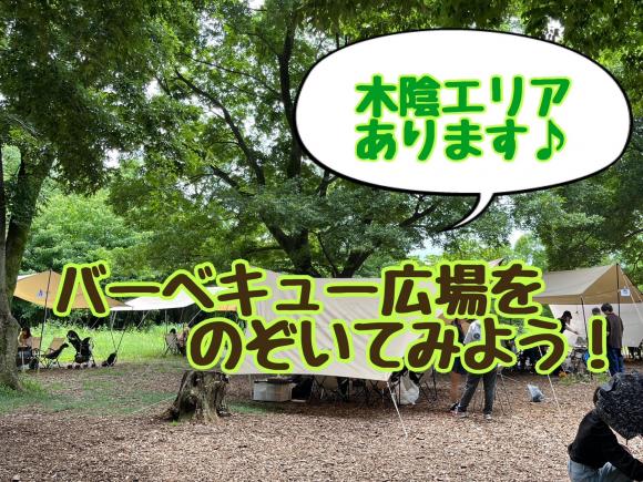 木陰ブログサムネ.jpeg