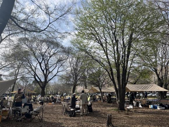 Image - 2026-01-24T105145.347.jpg