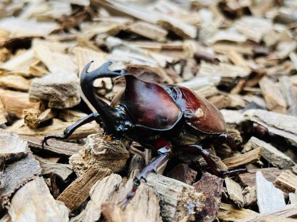 Image - 2026-02-22T170020.667.jpg