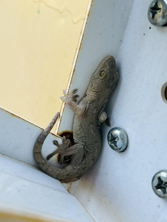 Image - 2026-02-22T170152.656.jpg