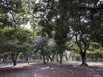 Image - 2026-04-20T112857.353.jpg